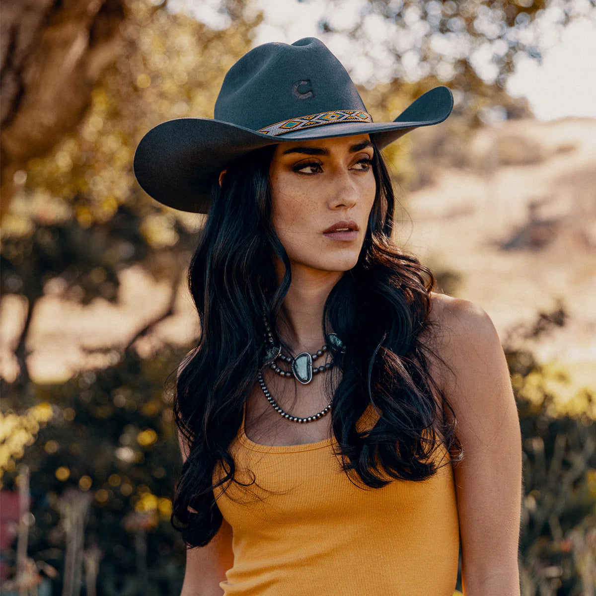 Charlie One Horse Runaway Gray