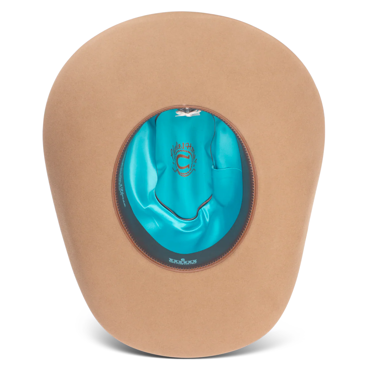 C\harlie One Horse  6x Cash