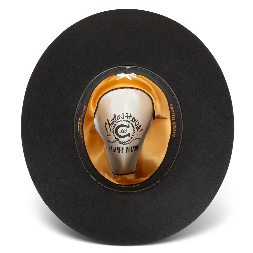 Charlie One Horse Fly Me To The Stars