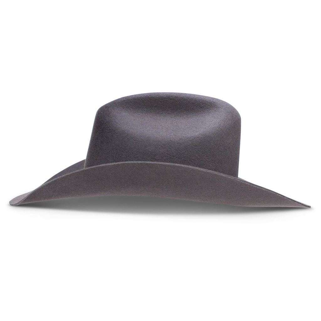 Charlie One Horse Runaway Gray