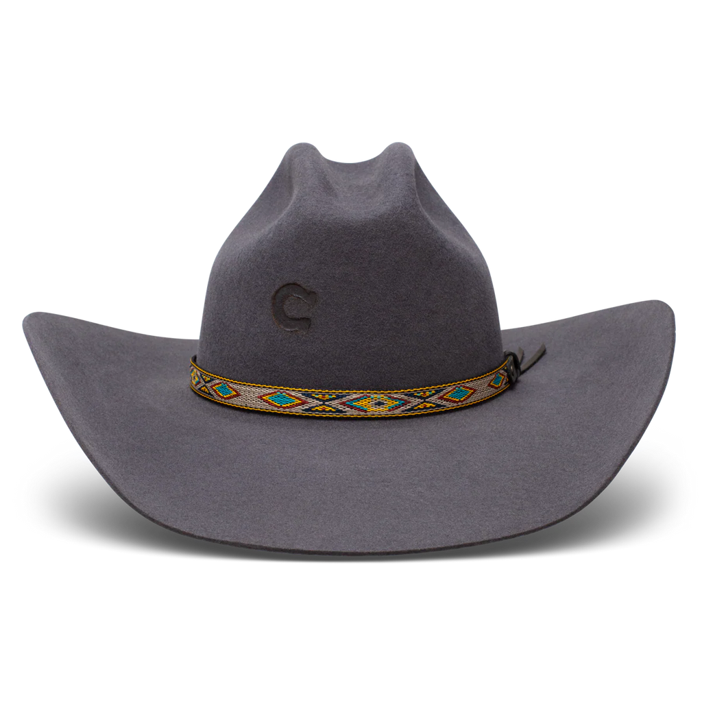 Charlie One Horse Runaway Gray