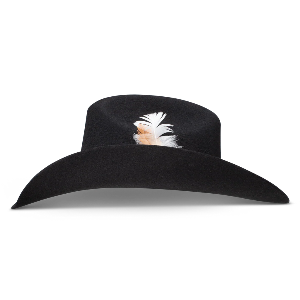 Charlie One Horse Saddle Up