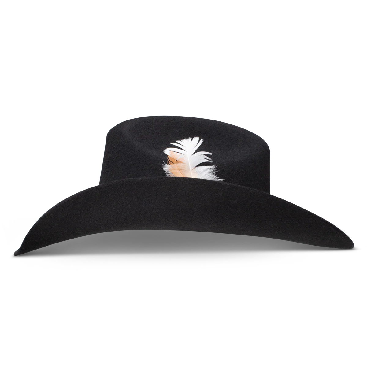 Charlie One Horse Saddle Up