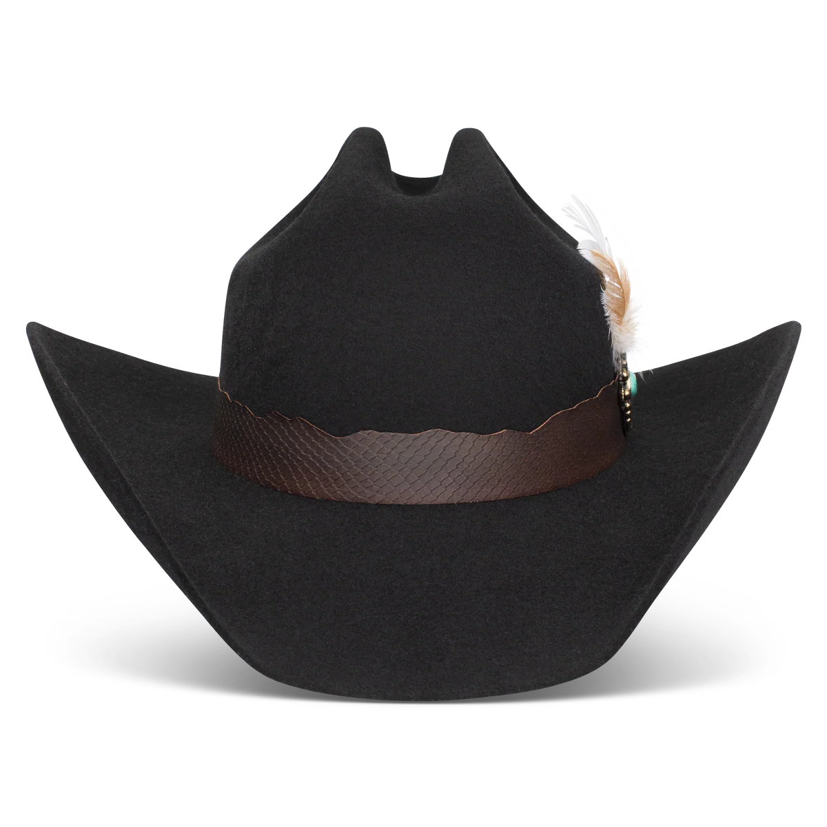 Charlie One Horse Saddle Up