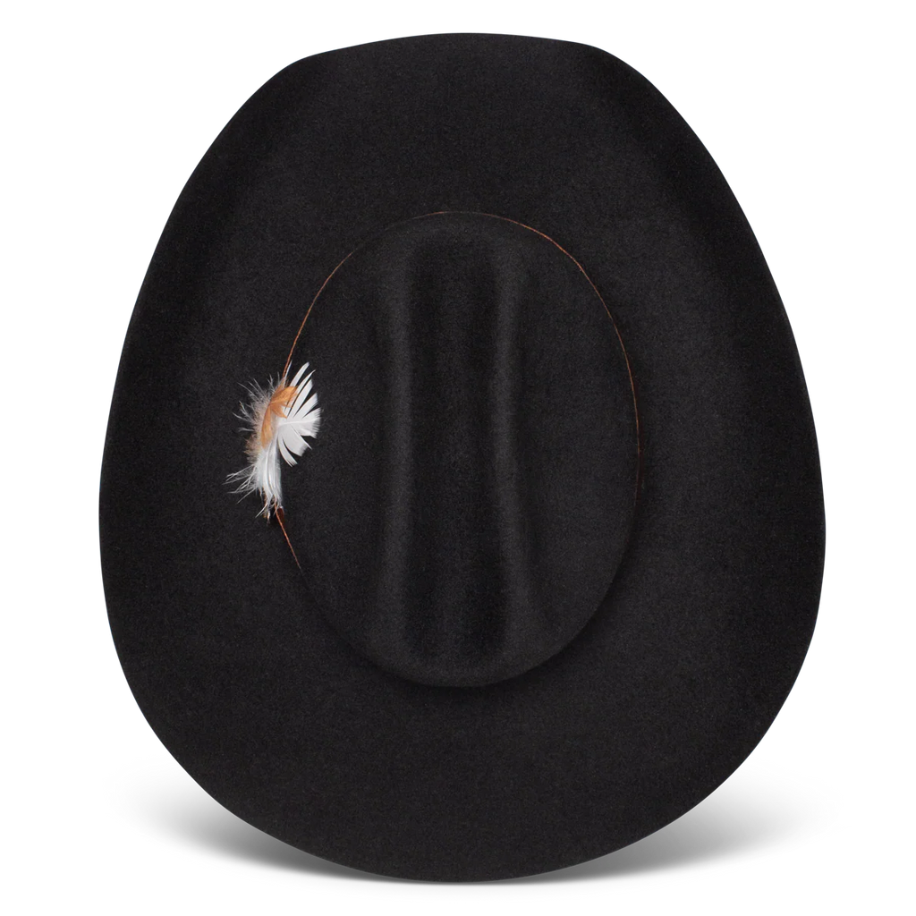 Charlie One Horse Saddle Up