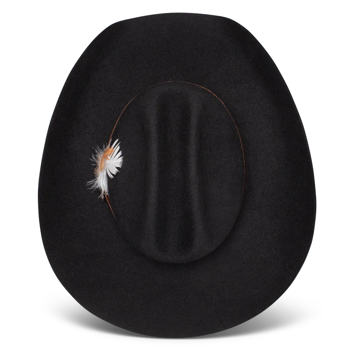 Charlie One Horse Saddle Up