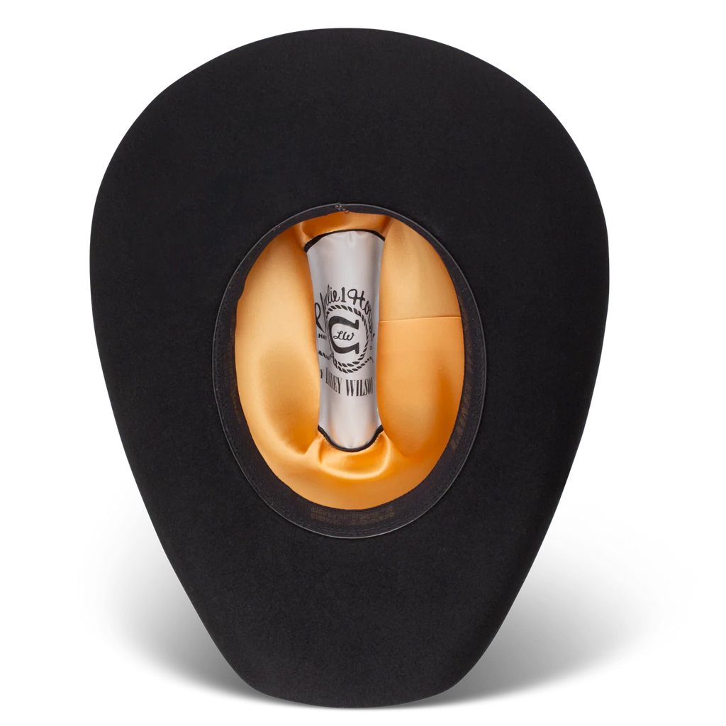 Charlie One Horse Saddle Up