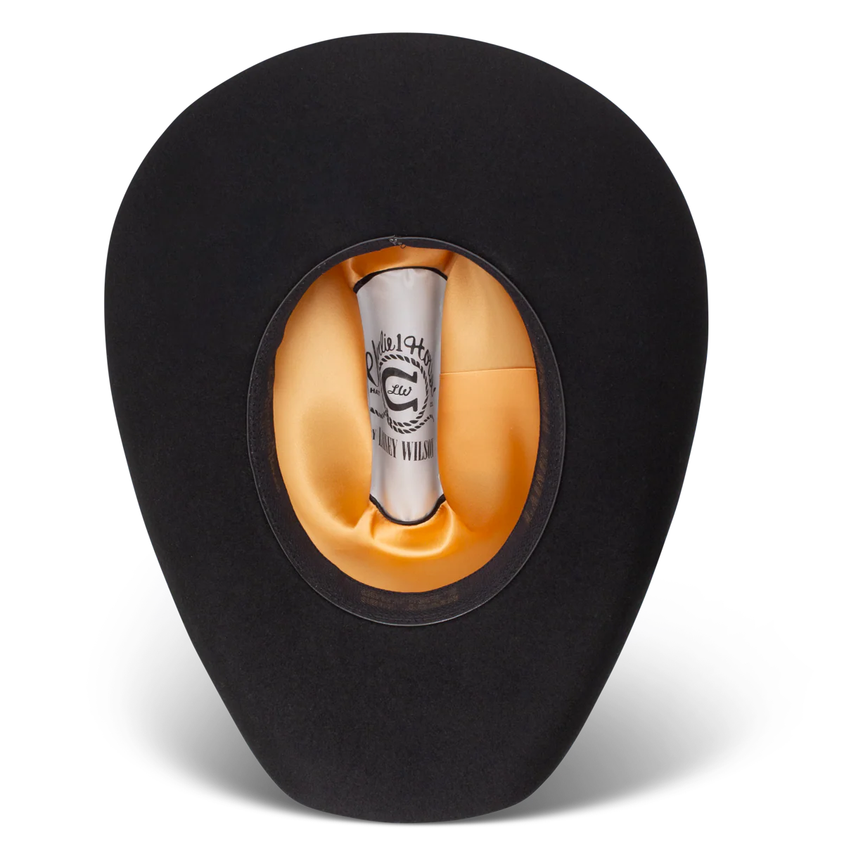 Charlie One Horse Saddle Up