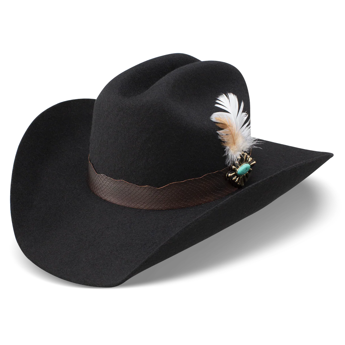 Charlie One Horse Saddle Up