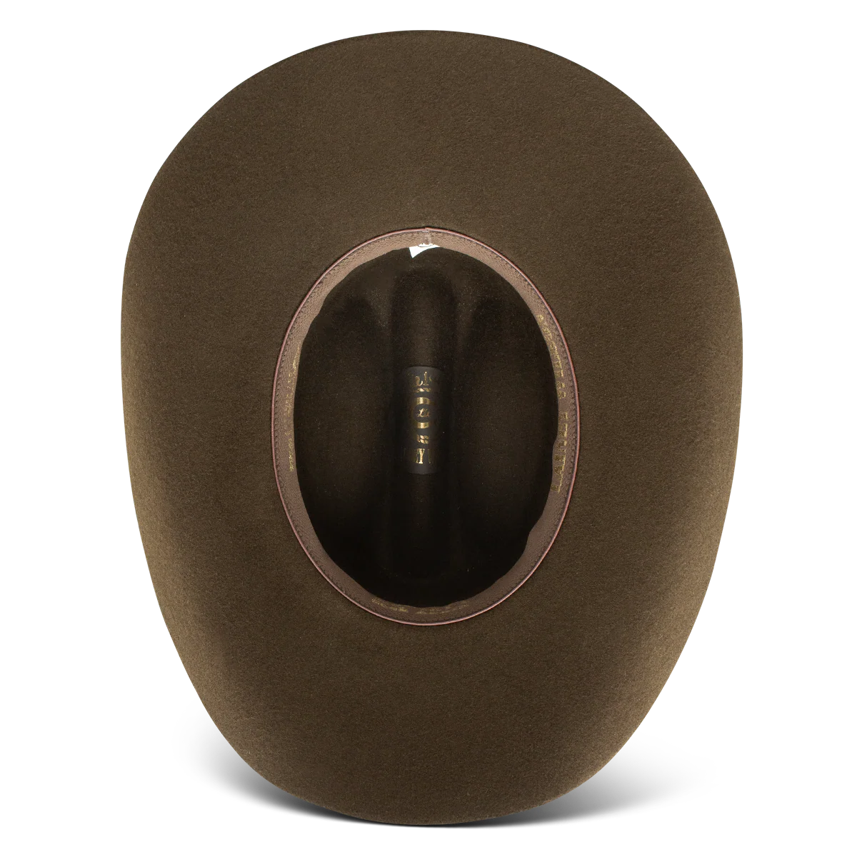 Charlie One Horse Songbird