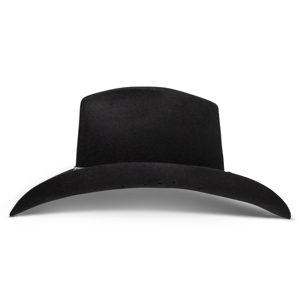 Charlie One Horse Wild Horses