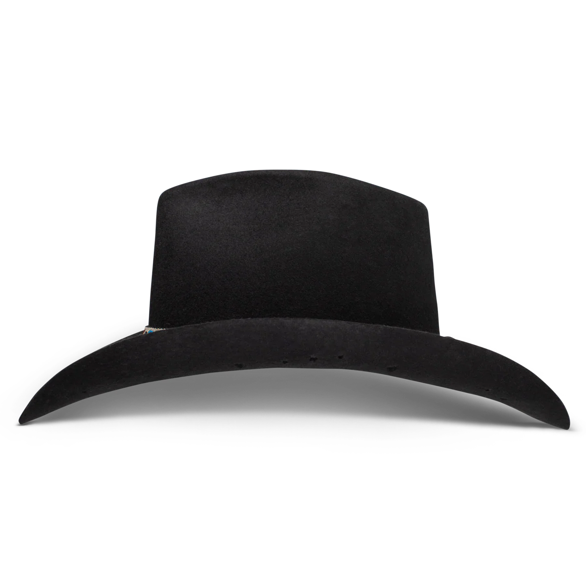 Charlie One Horse Wild Horses