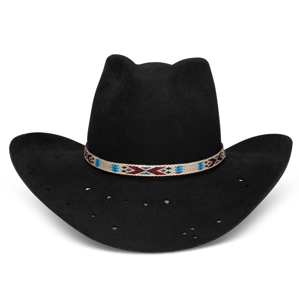 Charlie One Horse Wild Horses