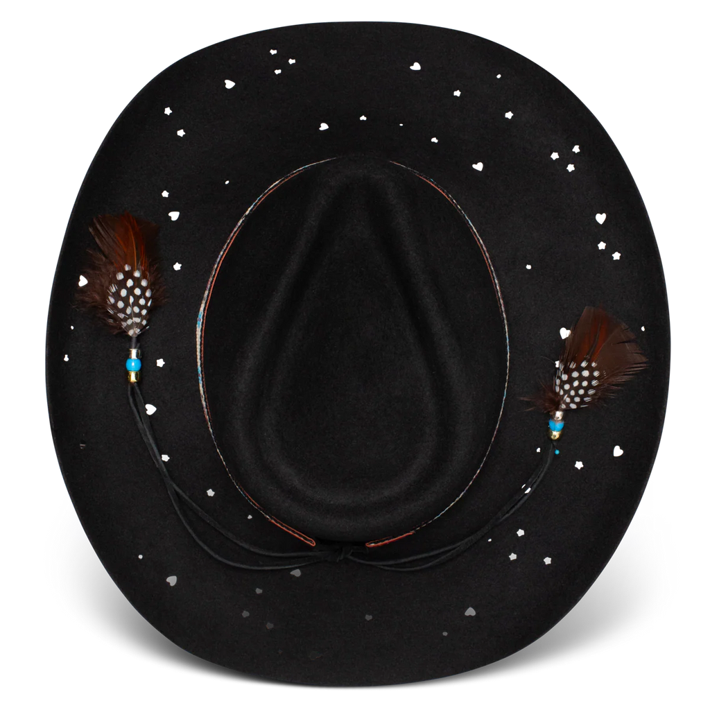 Charlie One Horse Wild Horses