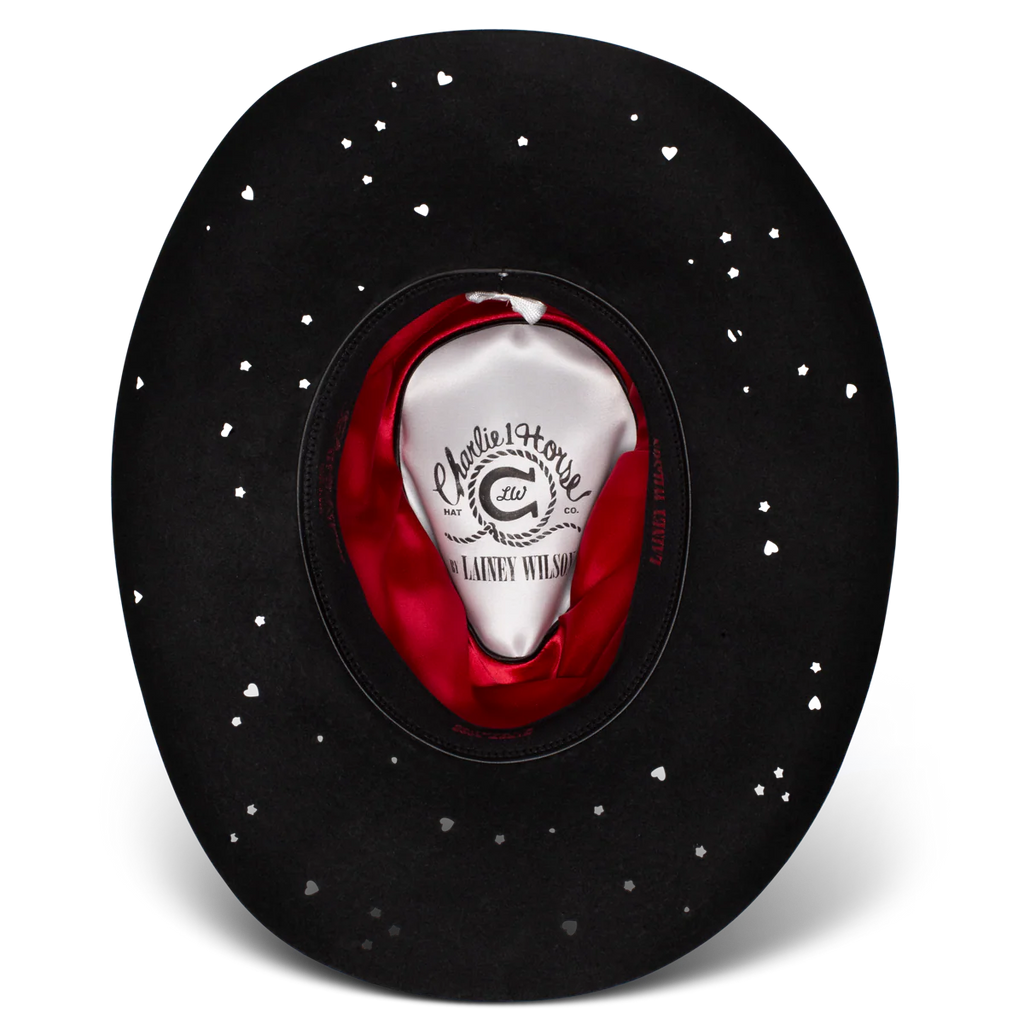 Charlie One Horse Wild Horses