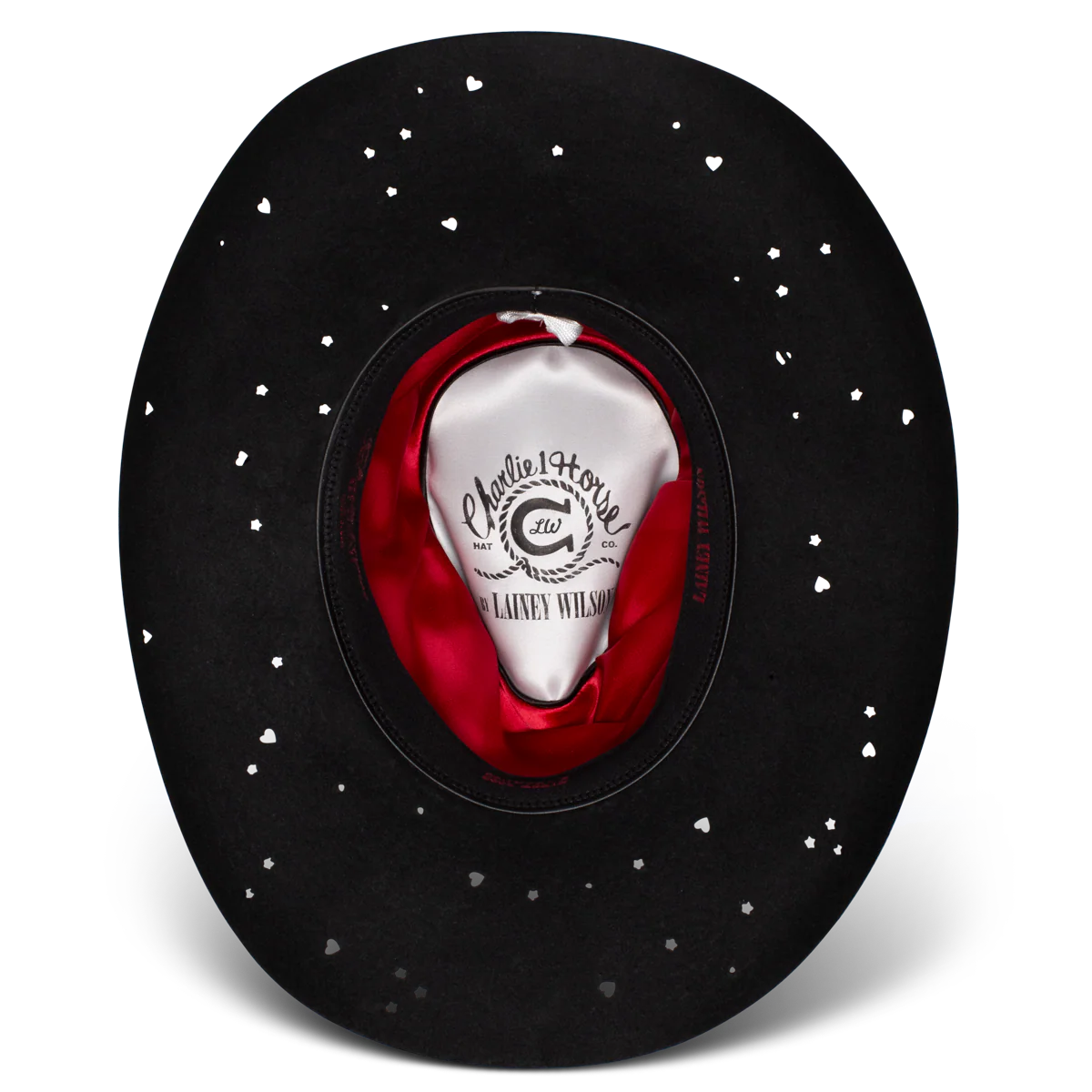 Charlie One Horse Wild Horses