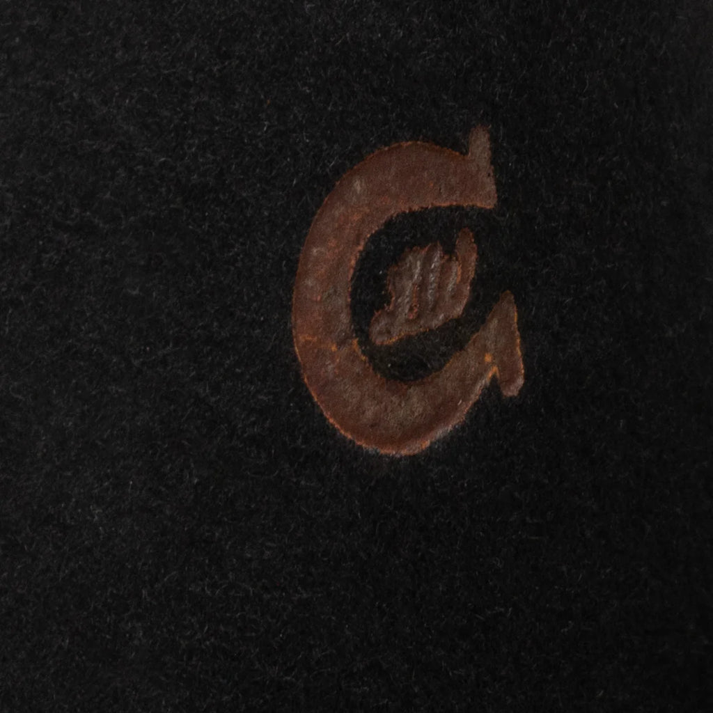 Charlie One Horse Wild Horses