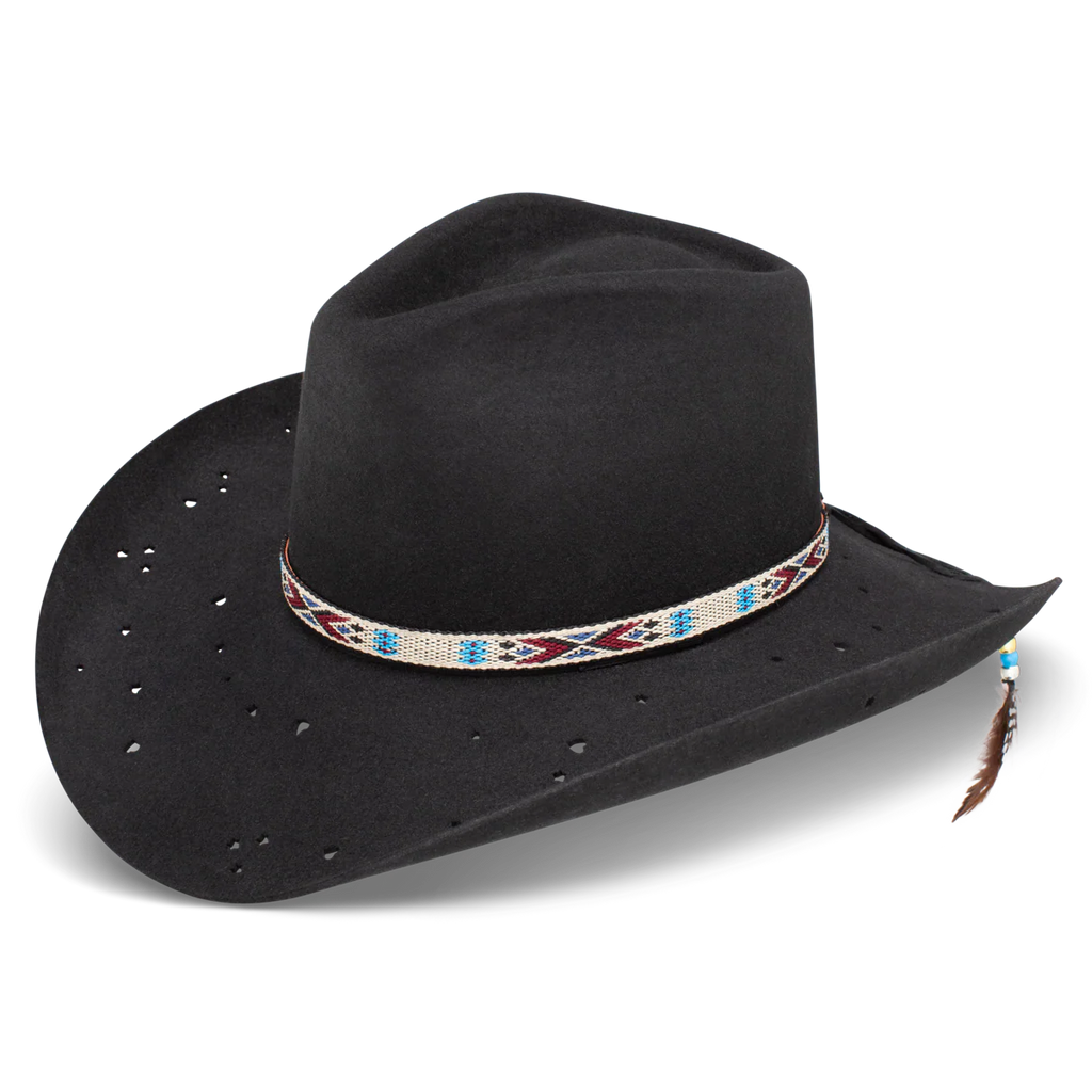 Charlie One Horse Wild Horses