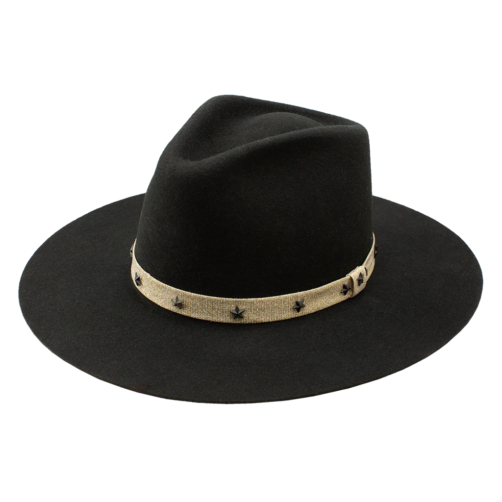 Charlie One Horse Fly Me To The Stars