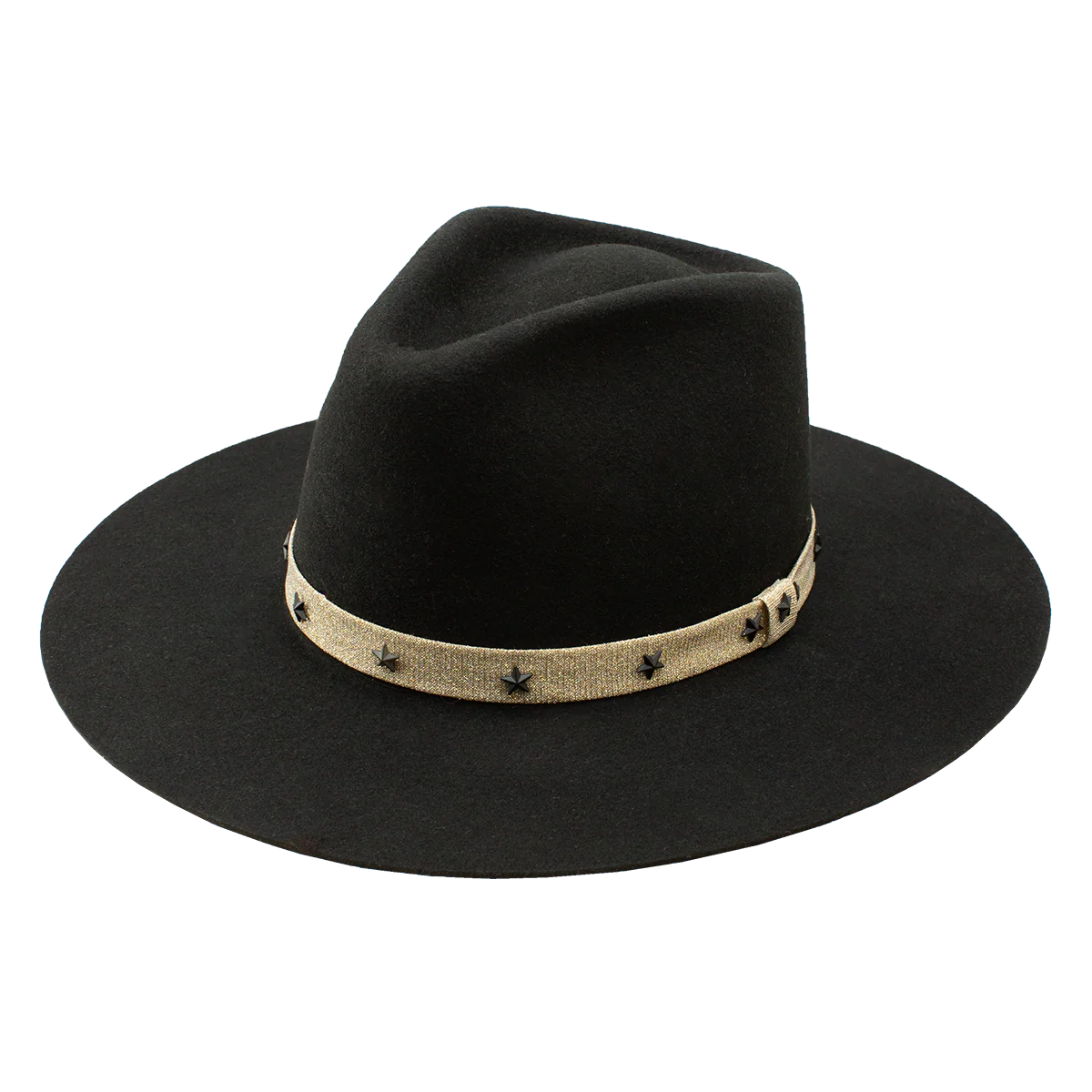 Charlie One Horse Fly Me To The Stars