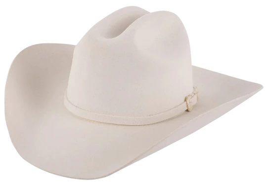 Stetson 3X Oak Ridge